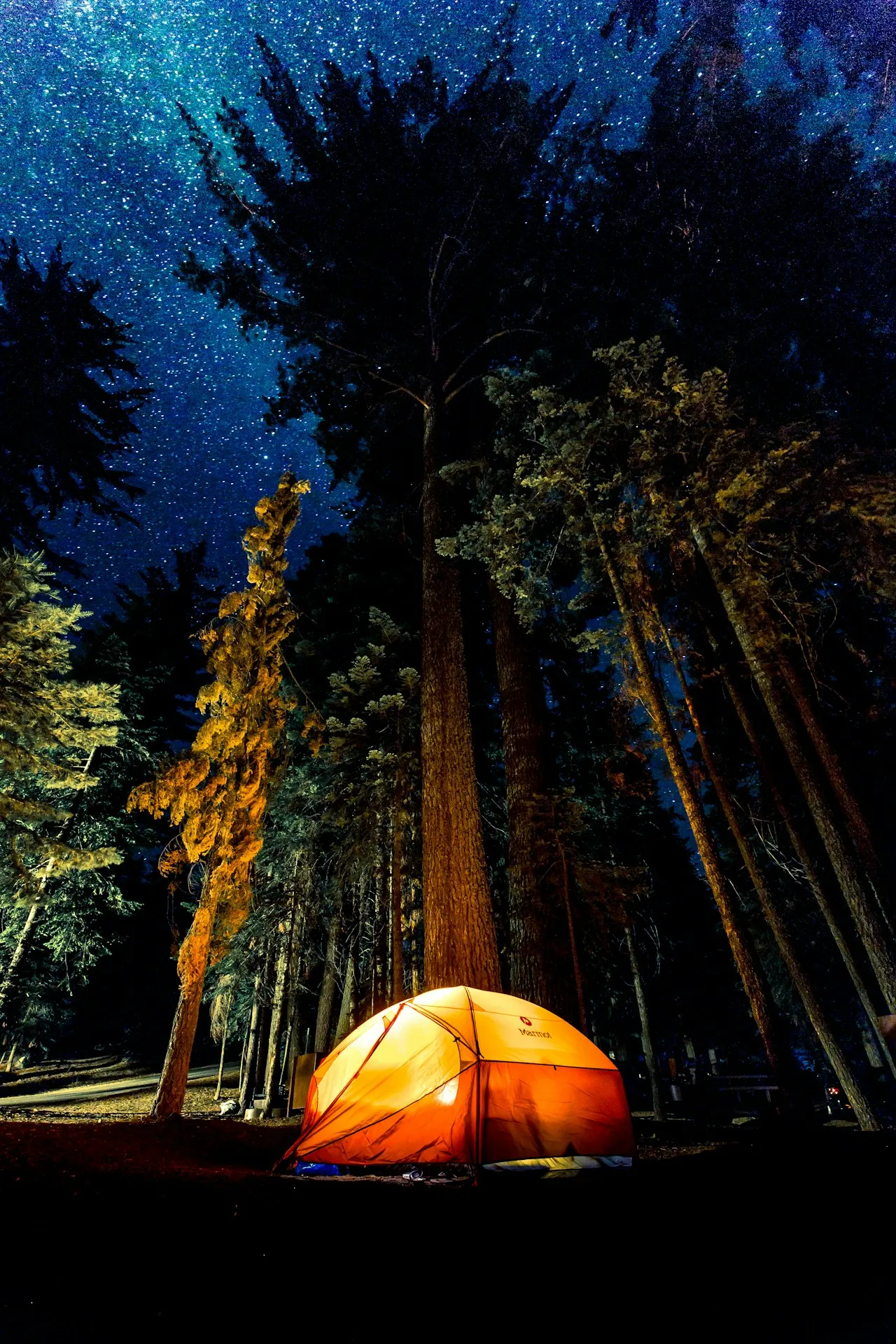 Zelt im Wald bei Abenddämmerung — typisches Camping-Setup mit Powerstation für autarke Stromversorgung